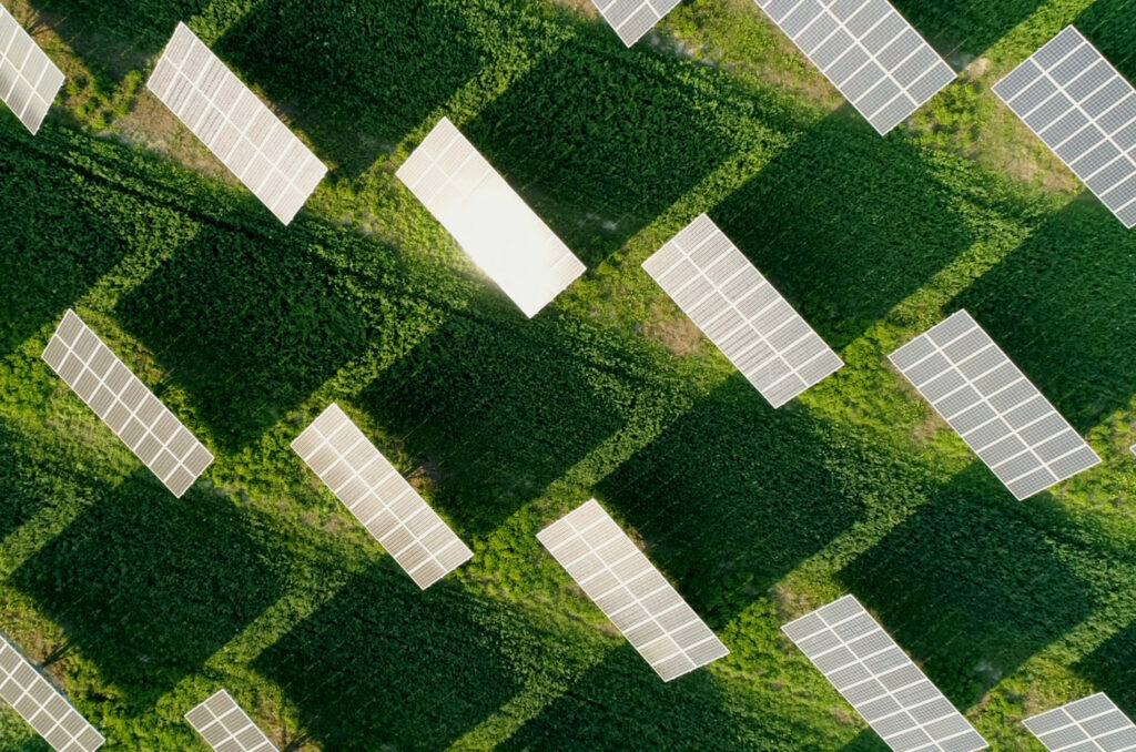 Supporting Sustainable Value Chains